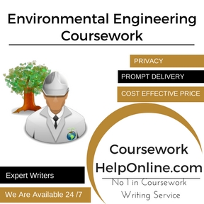 Environmental Engineering Writing Service